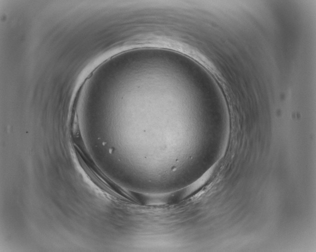 X0000063531536200601201445