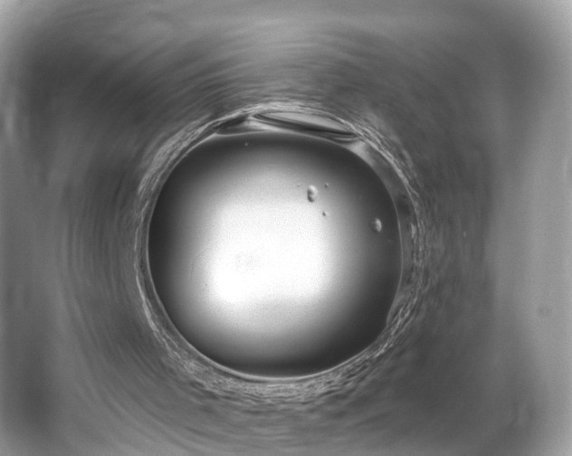 X0000063530001200601231554