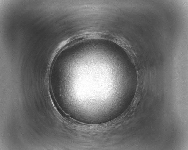 X0000063530003200601231554