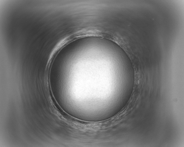 X0000063530004200601231554