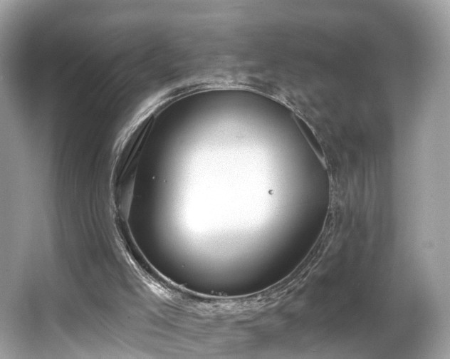 X0000063530005200601231554