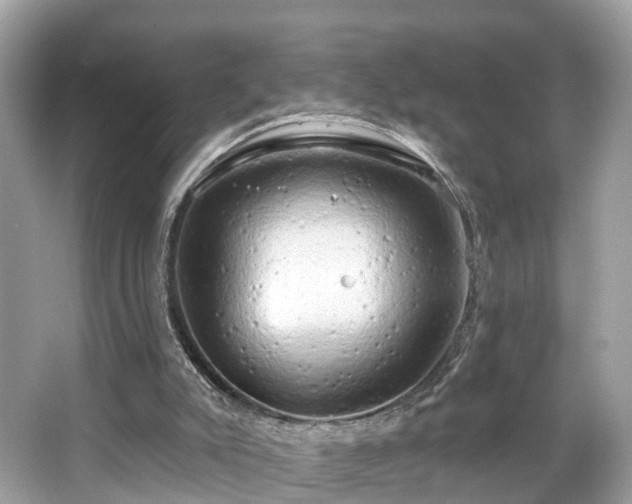 X0000063530007200601231554