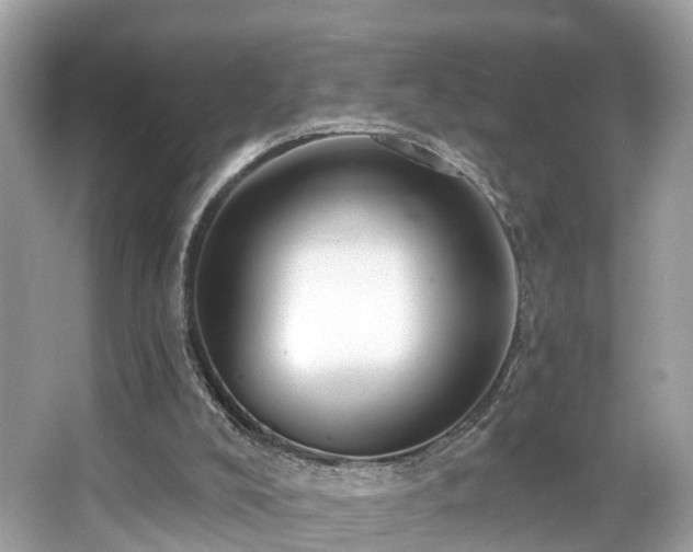 X0000063530008200601231554