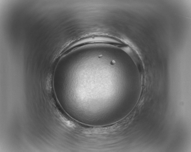 X0000063530009200601231554