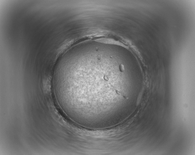 X0000063530010200601231554