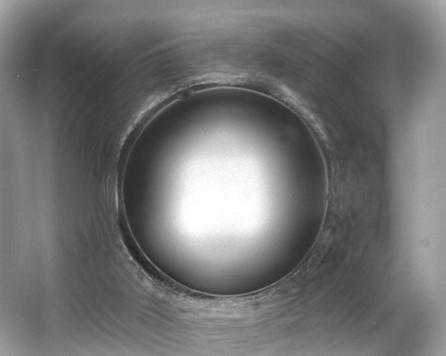 X0000063530011200601231554