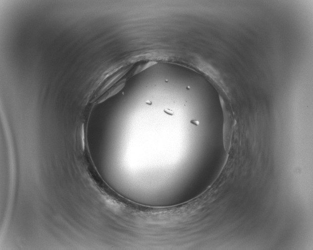 X0000063530013200601231553