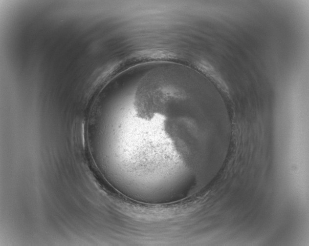 X0000063530014200601231553