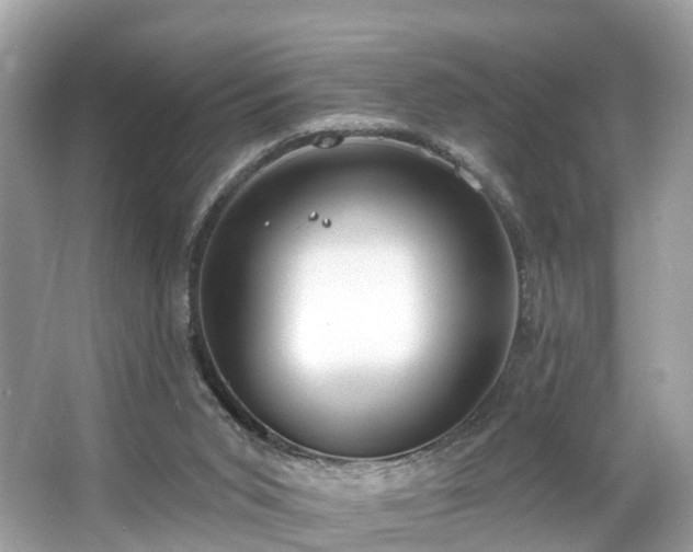 X0000063530015200601231553