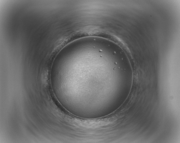 X0000063530018200601231553