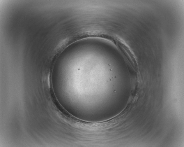 X0000063530019200601231553