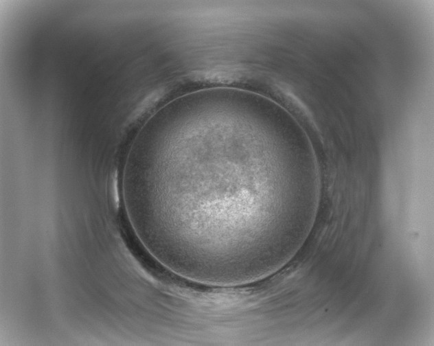 X0000063530020200601231553