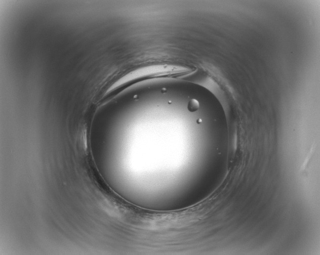 X0000063530021200601231553