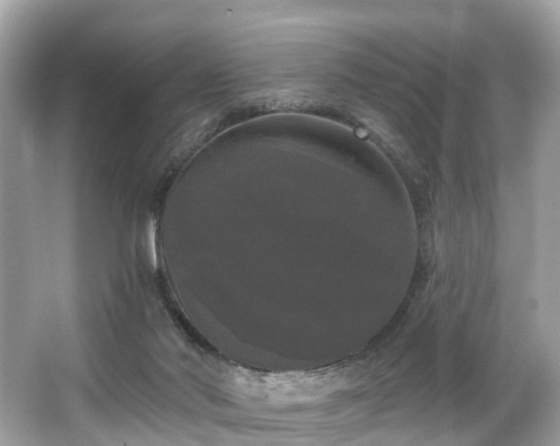 X0000063530022200601231553