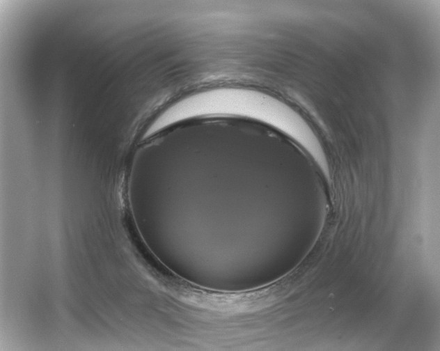 X0000063530023200601231553