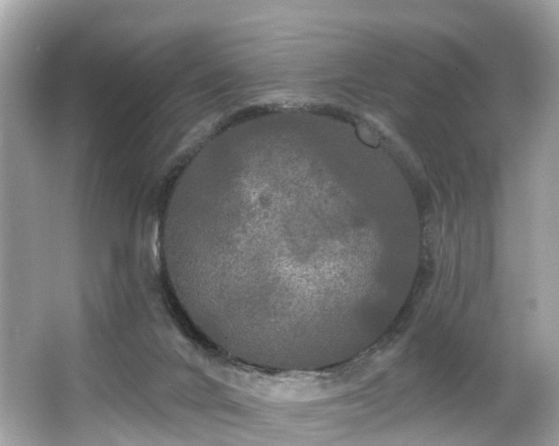 X0000063530024200601231553