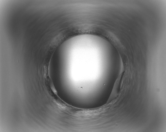 X0000063530025200601231553