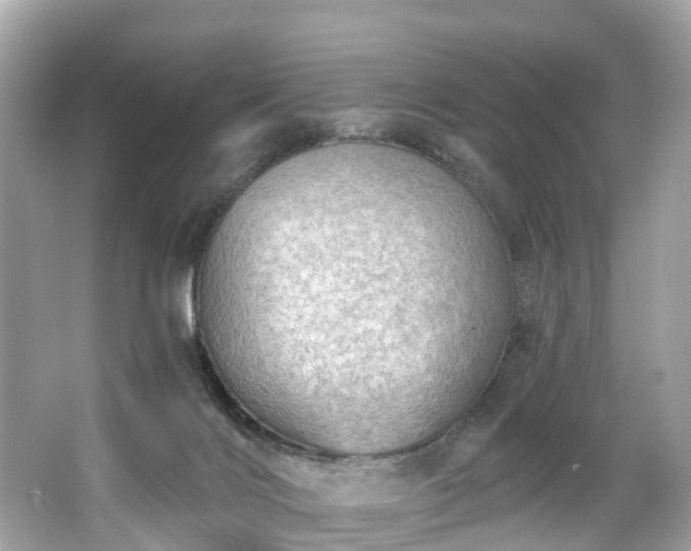 X0000063530028200601231553