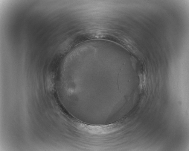 X0000063530030200601231553