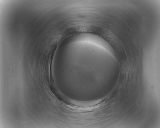 X0000063530031200601231553