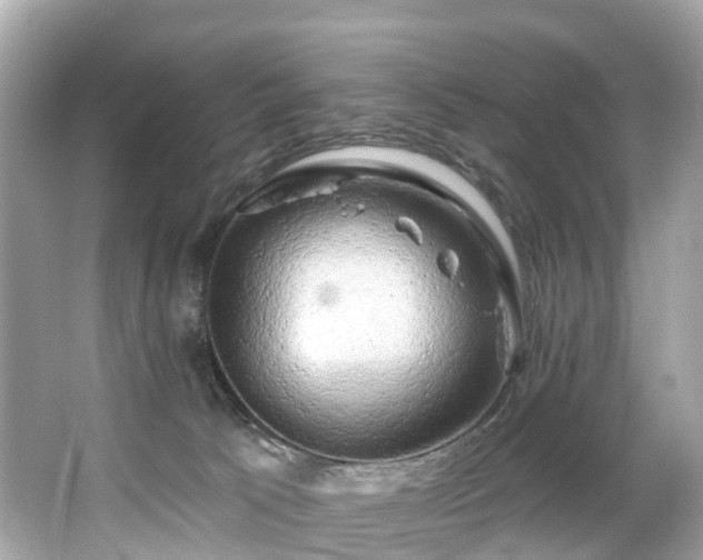 X0000063530033200601231553