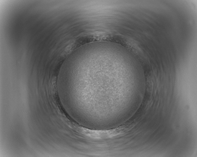 X0000063530034200601231553