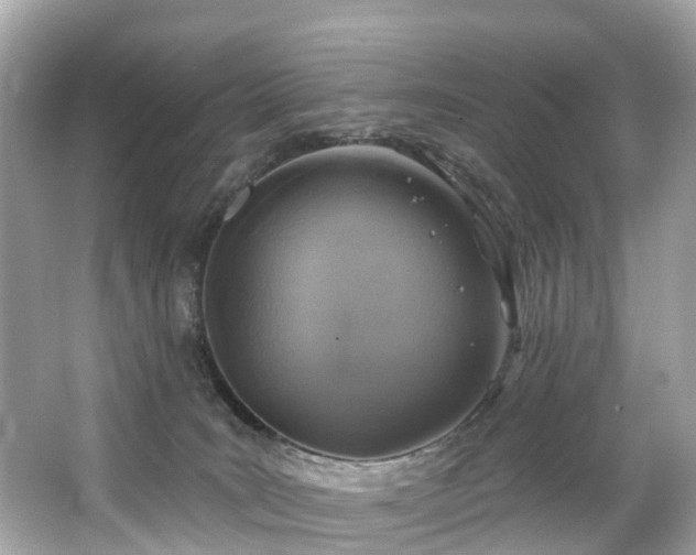 X0000063530035200601231553