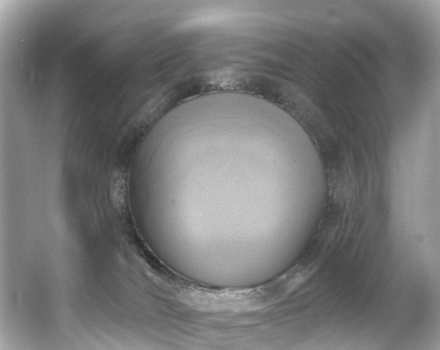 X0000063530036200601231553