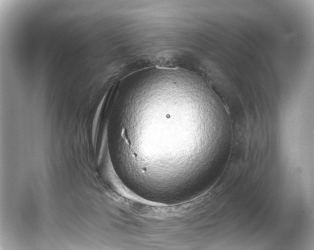 X0000063530037200601231553