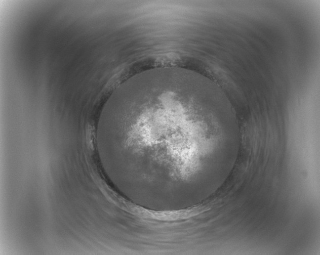 X0000063530038200601231553