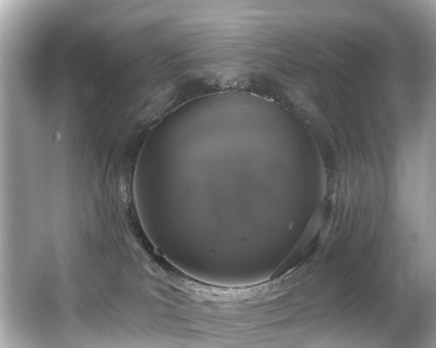 X0000063530039200601231553