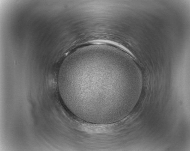 X0000063530040200601231553