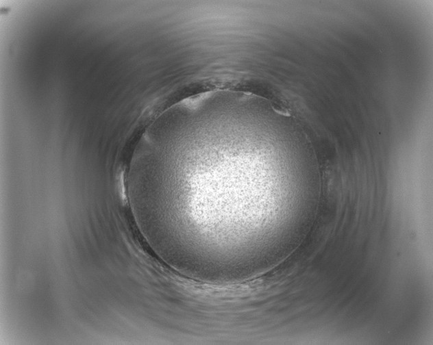 X0000063530042200601231553