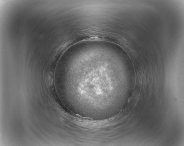 X0000063530043200601231553