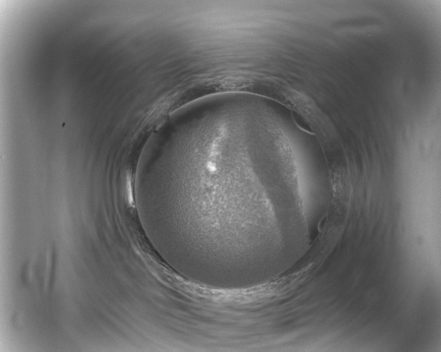 X0000063530046200601231553