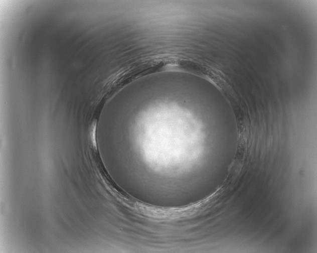 X0000063530047200601231553