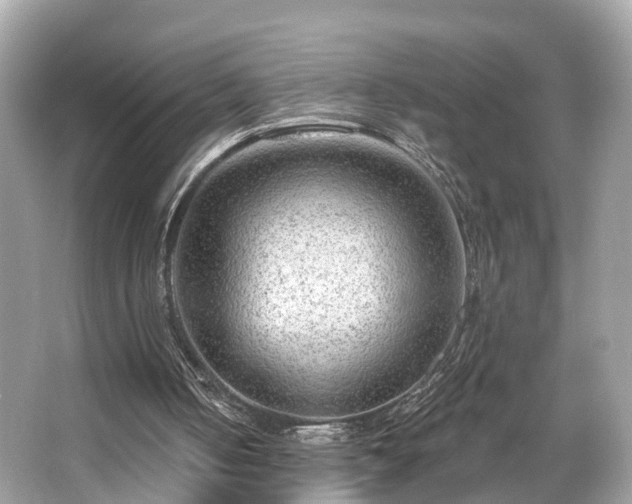 X0000063530050200601231552