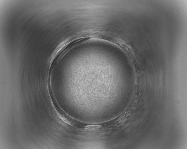 X0000063530051200601231552