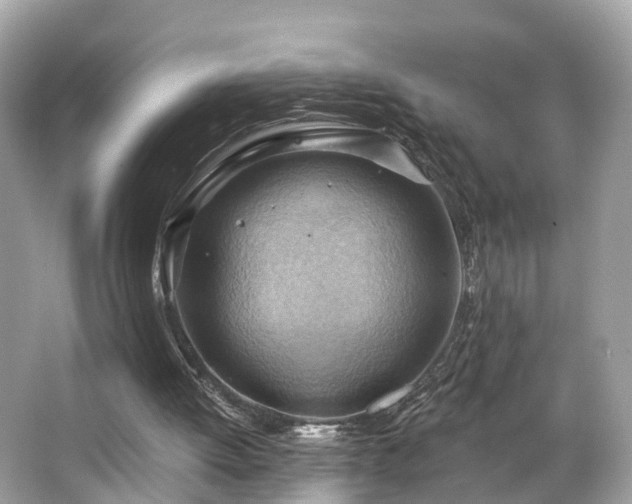 X0000063530052200601231552