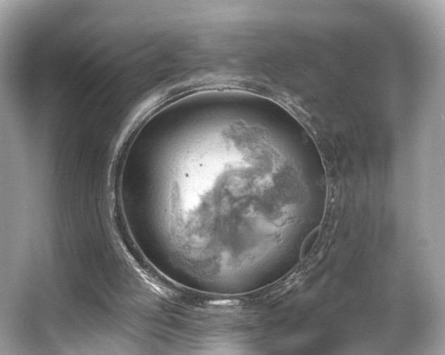 X0000063530053200601231552