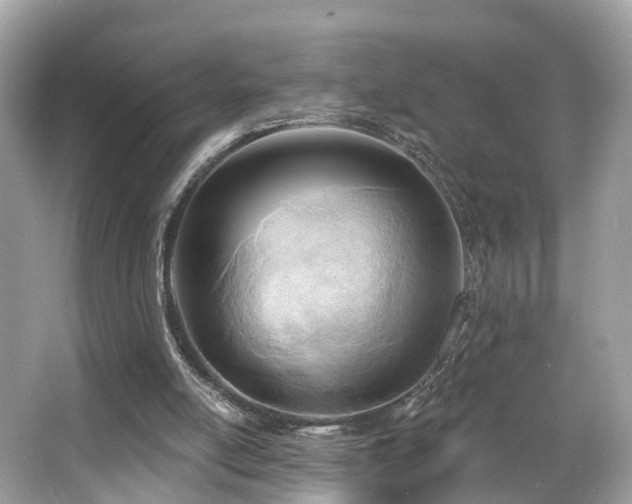 X0000063530054200601231552