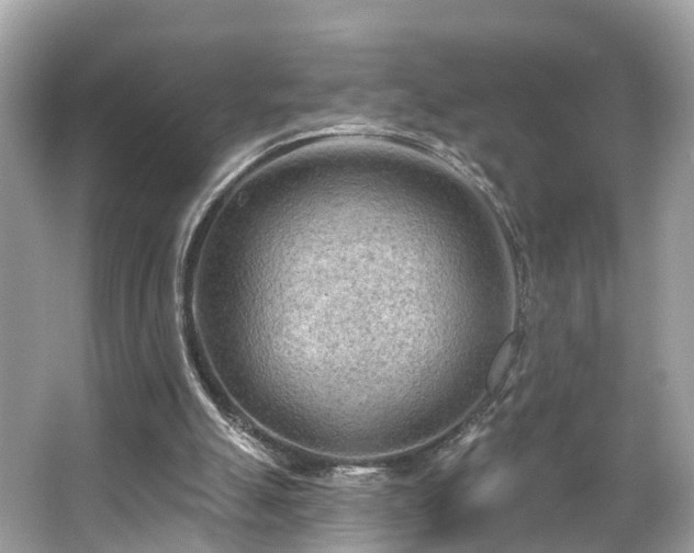 X0000063530055200601231552