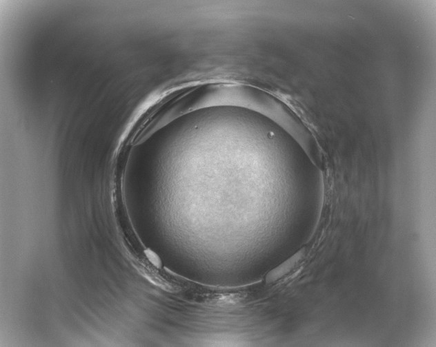 X0000063530056200601231552