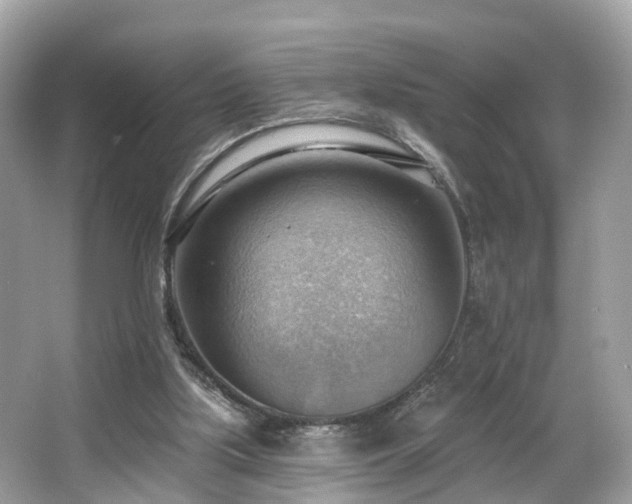 X0000063530059200601231552