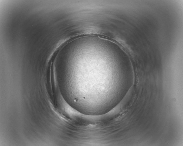 X0000063530060200601231552