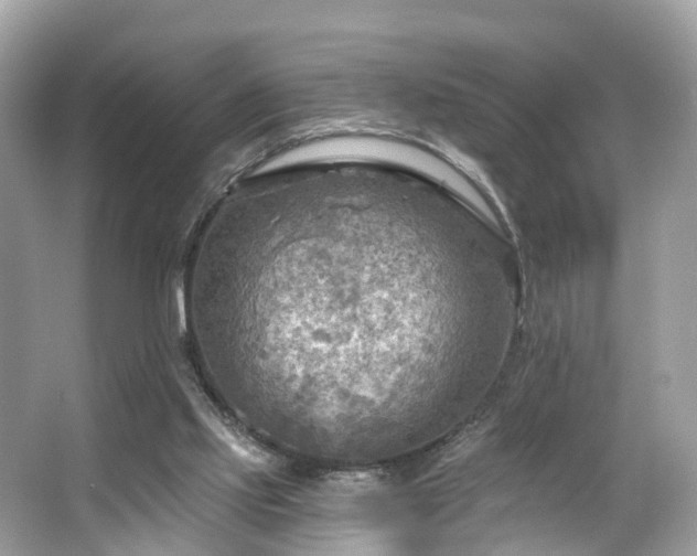 X0000063530061200601231552