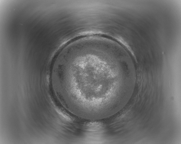 X0000063530063200601231552