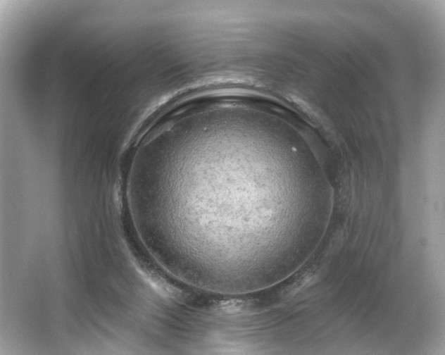 X0000063530064200601231552