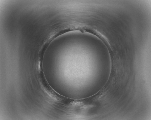 X0000063530067200601231552