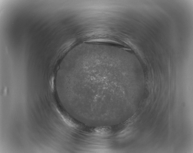 X0000063530070200601231552